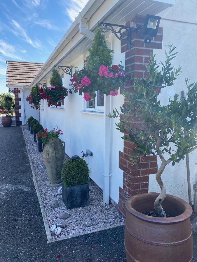 Toppesfield House B&B Bude Exteriör bild