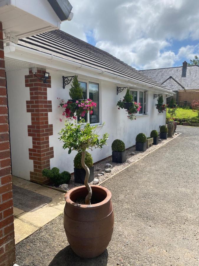 Toppesfield House B&B Bude Exteriör bild