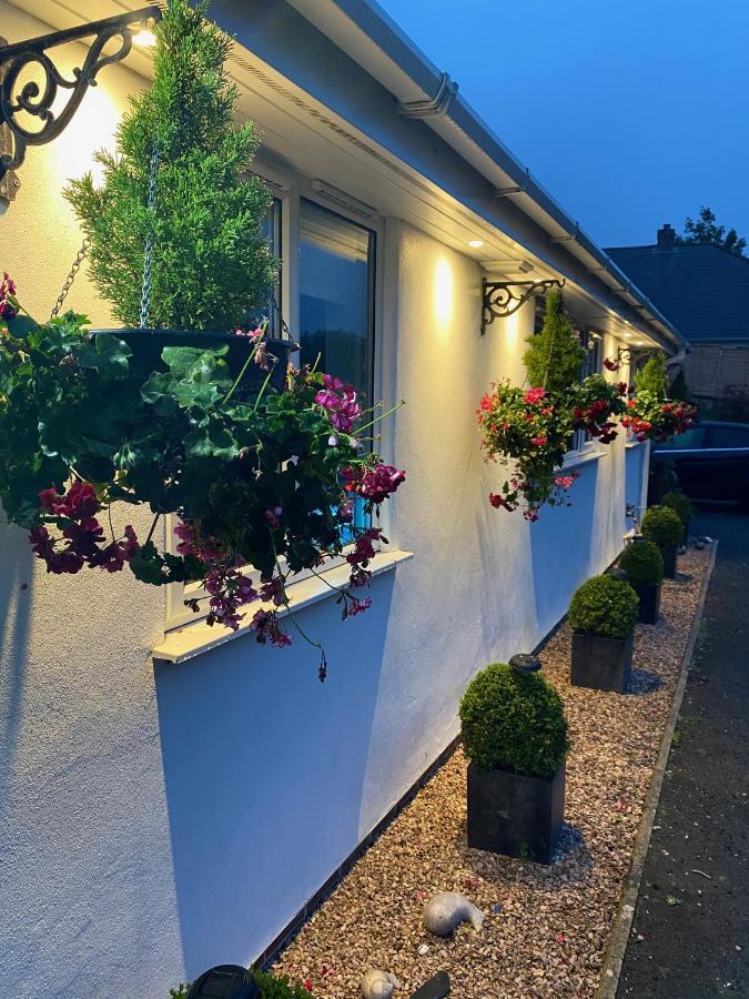 Toppesfield House B&B Bude Exteriör bild