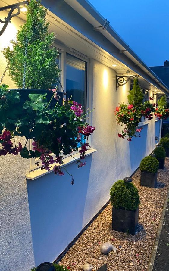 Toppesfield House B&B Bude Exteriör bild
