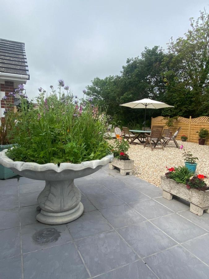Toppesfield House B&B Bude Exteriör bild