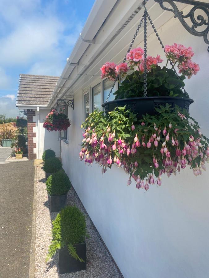 Toppesfield House B&B Bude Exteriör bild