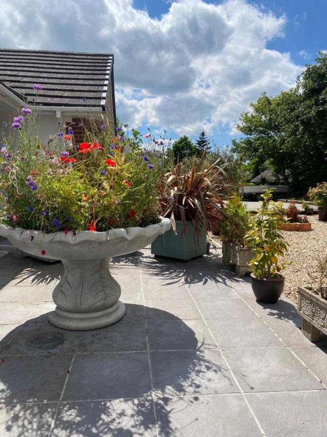 Toppesfield House B&B Bude Exteriör bild
